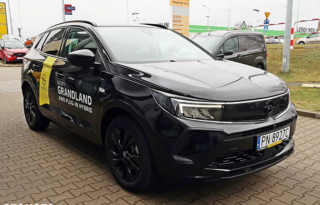 Opel Grandland X cena 179900 przebieg: 2000, rok produkcji 2022 z Pszczyna małe 92